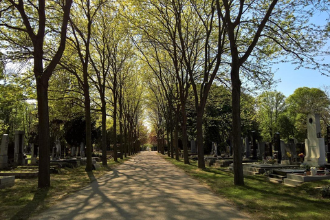 Vienna: Urban Birding – Guided bird watching tour in the big city!