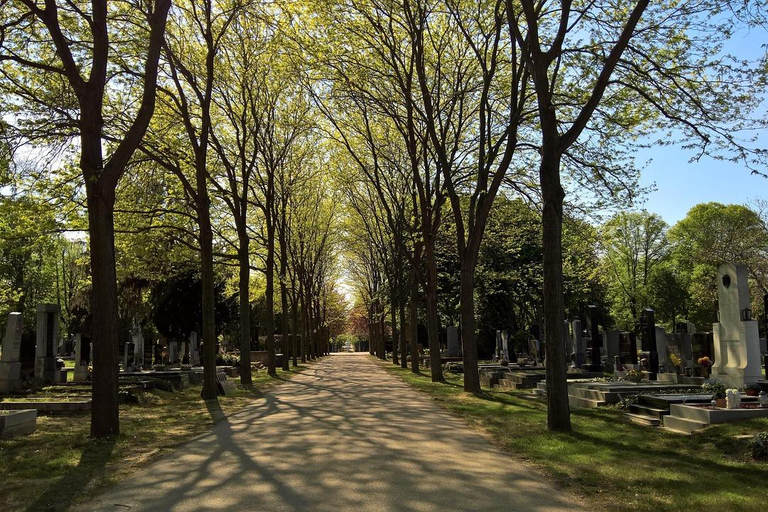 Vienna: Urban Birding – Guided bird watching tour in the big city!