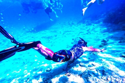 Lucht+Tour Deal vanuit Nassau: Adembenemende Zwemtocht VarkensVlucht+Tourpakket Vanuit Nassau: Exuma Zwemmende Varkens Tour