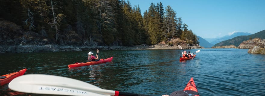 Campbell River : Kayak et observation des baleines