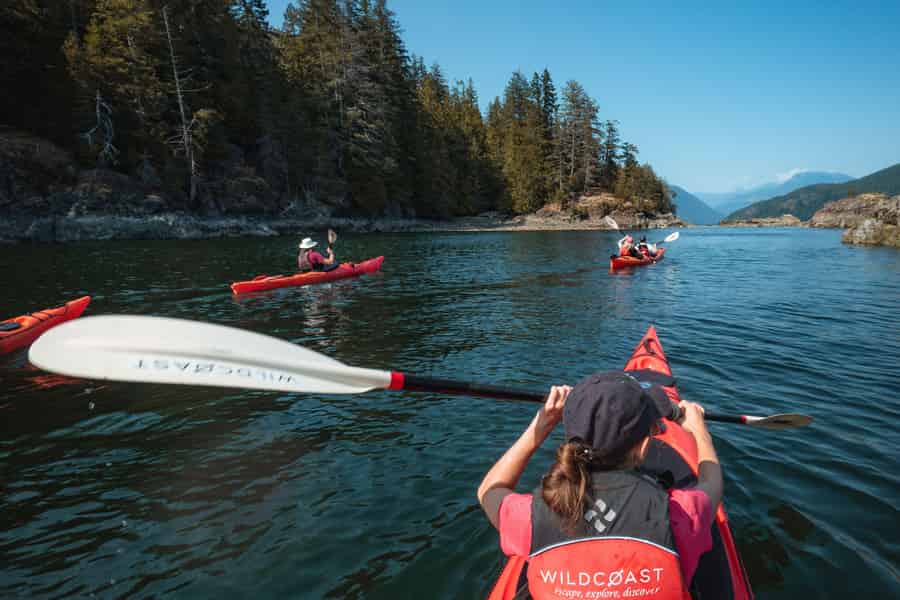 Campbell River: Kajakfahren und Walbeobachtungstour. Foto: GetYourGuide