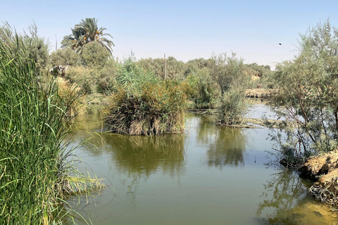 From Cairo: 4x4 Desert Safari, Waterfalls & Magic Lake Shared Tour: Wadi El Rayan, Magic Lake & Lake Qarun, Jeep