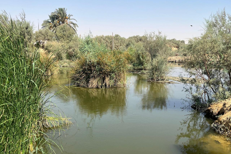 From Cairo: 4x4 Desert Safari, Waterfalls & Magic Lake Shared Tour: Wadi El Rayan, Magic Lake & Lake Qarun, Jeep