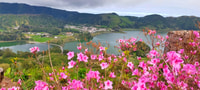 Ponta Delgada, Tour Sete Cidades Green & Blue Lakes - Housity