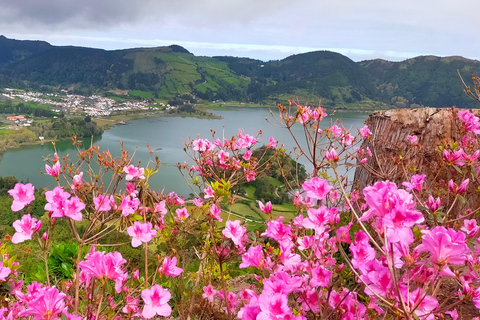 Açores: Tour particular Sete Cidades Lagos Verdes e Azuis