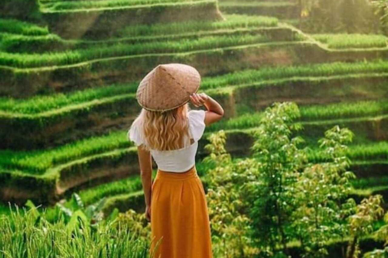 Bali: All-Inclusive Ubud Private Tour with Lunch All-Inclusive Ubud Private Tour with Lunch