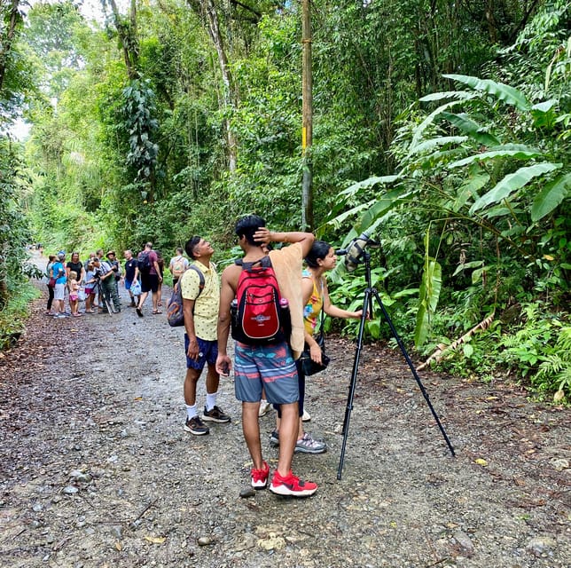 Manuel Antonio Park Naturalist Guided Tour GetYourGuide