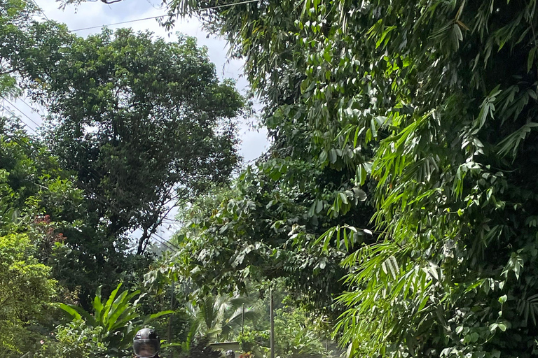 Puerto Viejo Talamanca: Quad Tour with 2 Waterfalls