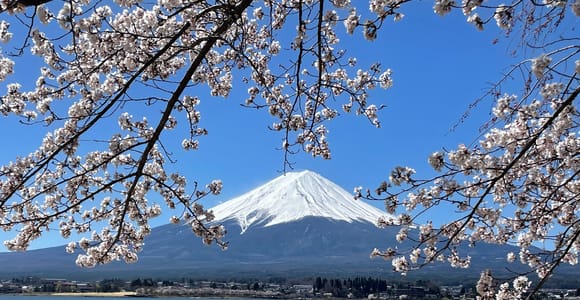 Tokio: Private Tagestour zum Fuji & nach Hakone