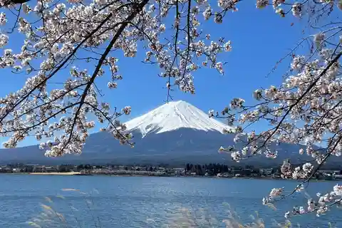 Tokyo: Mount fuji & Hakone Private Day Tour