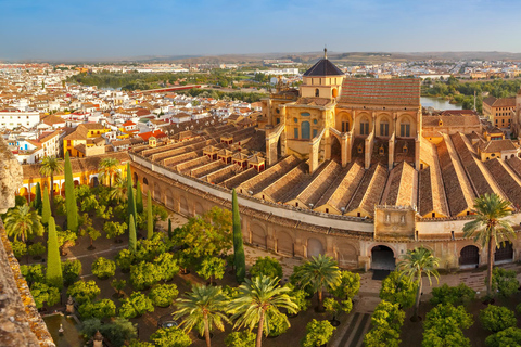 Córdoba en 1 Día: Visita a pie con guía digital15 € - ticket de entrada dúo