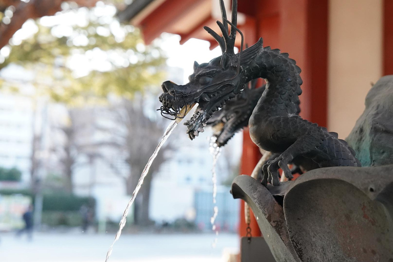 Tóquio: excursão a Asakusa, Meiji Jingu e ao mercado de peixe de TsukijiTóquio: passeio por Asakusa, Meiji Jingu e o mercado de peixe de Tsukiji
