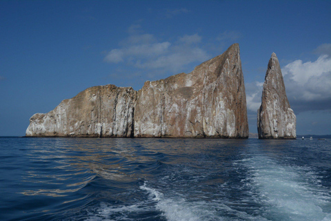 San Cristobal, Galapagos: 4-Day / 3-Night El Origen Package San Cristóbal, Galápagos: 4-Day, 3-Night El Origen Package