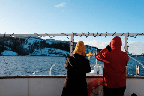 Stoccolma: tour guidato in barca dell'arcipelago di Vaxholm e Kastellet