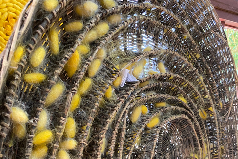 Siem Reap: Silk Farm & Killing Fields TukTuk Tour