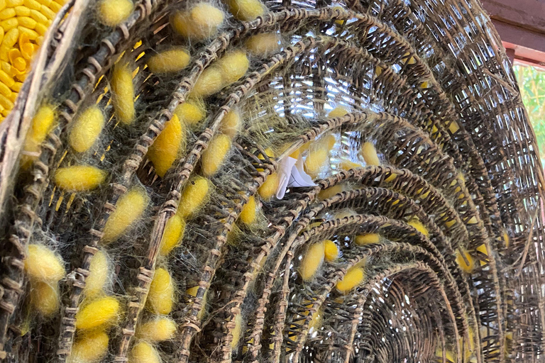 Siem Reap: Silk Farm & Killing Fields TukTuk Tour
