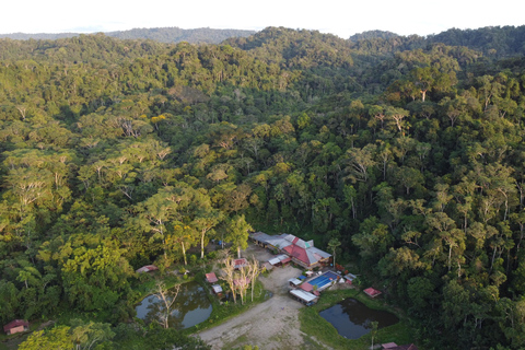 Excursión de 4 días por la selva Expedición Amazonia Todo Incluido