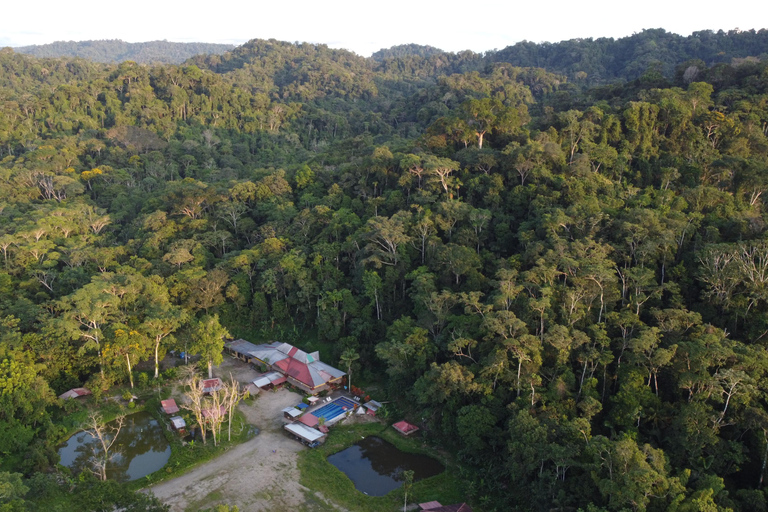 Excursión de 4 días por la selva Expedición Amazonia Todo Incluido