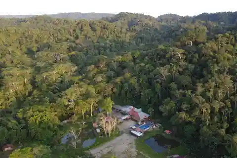 3 Day Jungle Tour Expedition Amazonia Ecuador All included