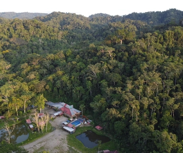 Tour della giungla di 3 giorni Spedizione Amazzonia Ecuador Tutto incluso