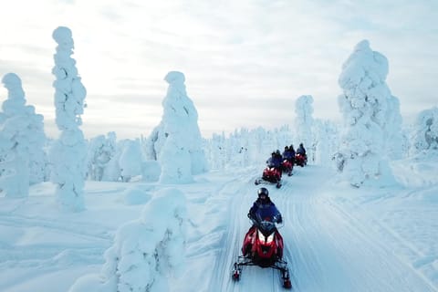Ylläs: Schneemobil-Abenteuer mit Eisfischen