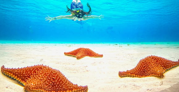 Ultimate Cozumel Experience: El Cielo, Water Park & Ziplines