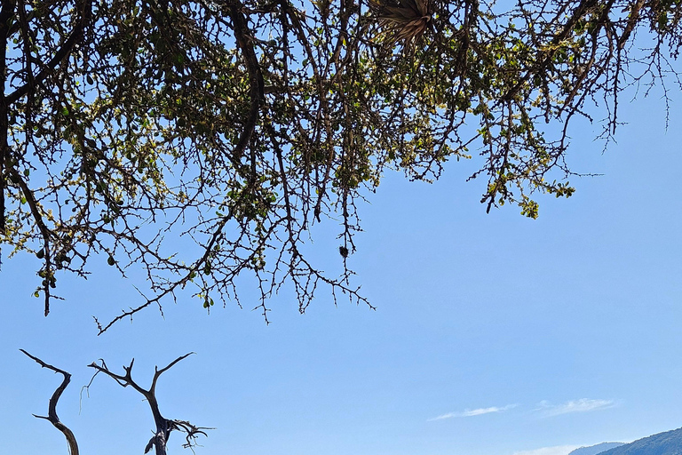 Hiking & Swimming at Hierve el Agua, Teotitlán & Mezcal Tour