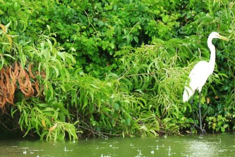 Bentota/Beruwala: Galle Fort, Koggala Lake & Kayaking Tour