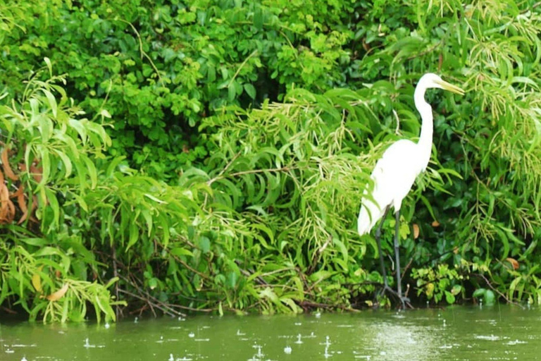 Bentota/Beruwala: Galle Fort, Koggala Lake & Kayaking Tour