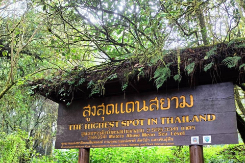 Chiang Mai : Parc national de Doi Inthanon, excursion d'une journée aux chutes d'eauRejoindre un petit groupe