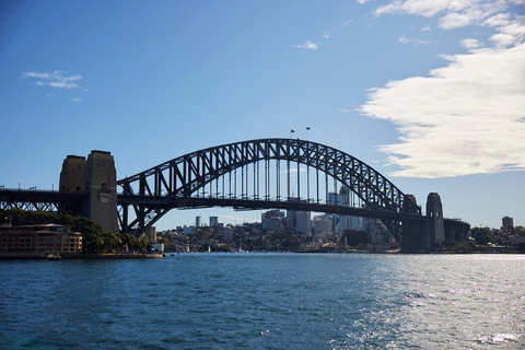 Crociera turistica del porto di Sydney Express