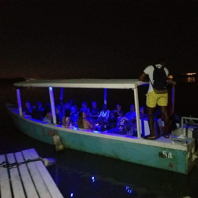 From Montego Bay Luminous Lagoon Boat Tour with Transfer GetYourGuide