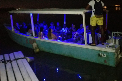 Desde Montego Bay: Tour en barco por la Laguna Luminosa con traslado