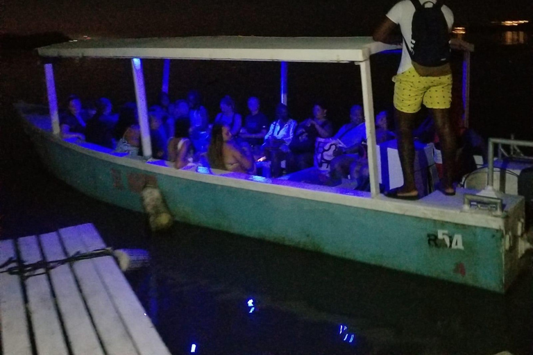 De Montego Bay: Passeio de barco pela Luminous Lagoon com traslado