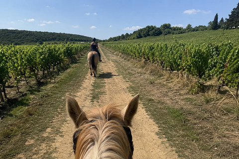 Bordeaux: Private Horse Ride in the Vineyards
