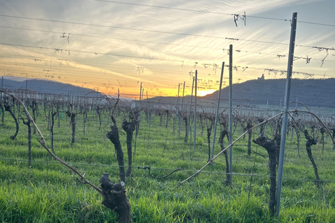 Alsace: Private Wine Tour with Tastings and Transfers Half Day Tour