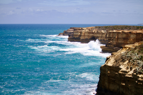 Melbourne : Excursion d&#039;une journée sur la Great Ocean Road