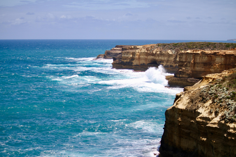 Melbourne: Excursão panorâmica de um dia pela Great Ocean Road