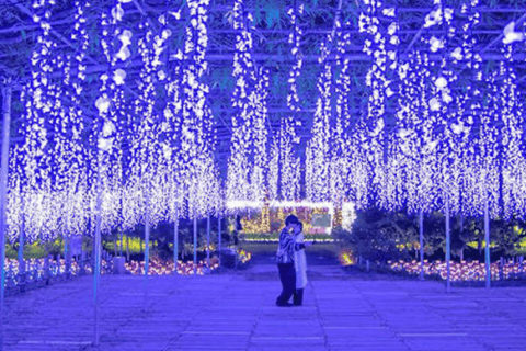 From Tokyo: Ashikaga Flower Park Day Trip with English Guide Ashikaga Full Day Private Customized Tour With English Guide