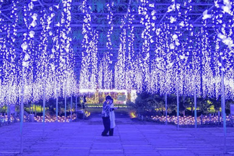 From Tokyo: Ashikaga Flower Park Day Trip with English Guide Ashikaga Full Day Private Customized Tour With English Guide