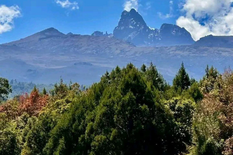 Mt Kenya: Half-day hiking and wildlife viewing