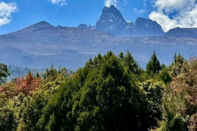 Mt Kenya: Half-day hiking and wildlife viewing