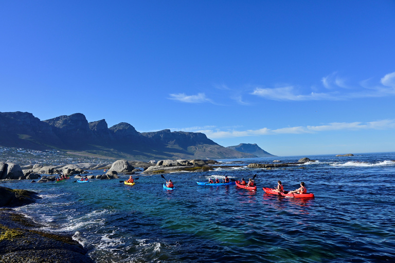 Cape Town: Guided Kayak Tour of Clifton Beaches & The Coast
