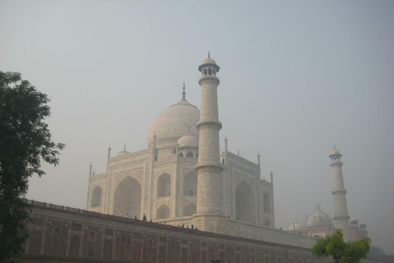 One day tour to Taj mahal and mother terrasa orphanage Tour with Transportation and Guide only