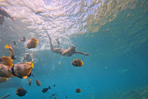 Nusa Penida: Ganztägiges Schnorcheln mit Manta-Rochen am Manta PointSchnorcheln und Westland Tour (Treffpunkt - Penida Port)