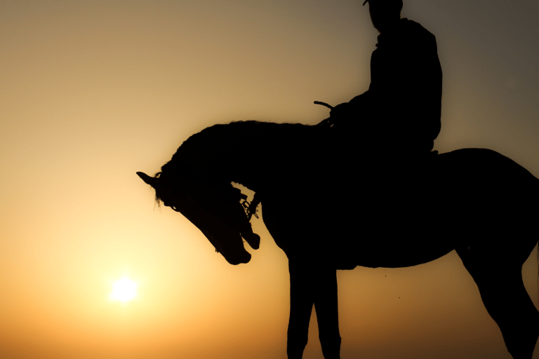 Reite durch die Dünen: Wüstenabenteuer zu Pferd in Doha