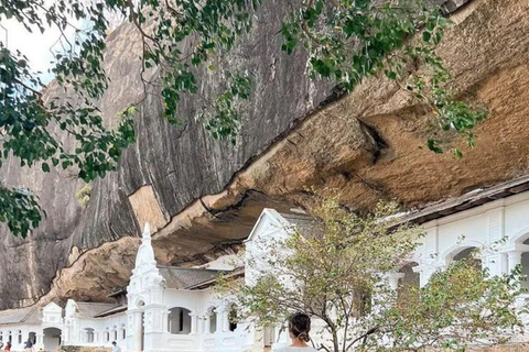 Sigiriya Rock, Dambulla Cave & Cart Rides One Day Trip Luxury Tour from Colombo, Negombo or Mount Lavinia