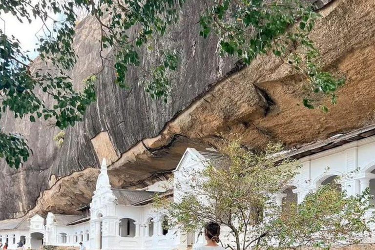 Sigiriya Rock, Dambulla Cave & Cart Rides One Day Trip Luxury Tour from Colombo, Negombo or Mount Lavinia