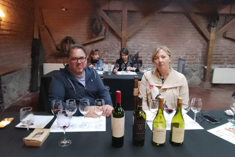 Santiago: Cousiño Macul Vineyard Premium Tasting Tour