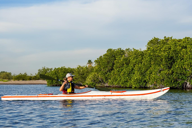 Sea Kayak Tour - Mangrove Safari